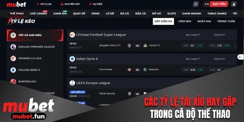 Các tỷ lệ tài xỉu hay gặp trong cá độ thể thao