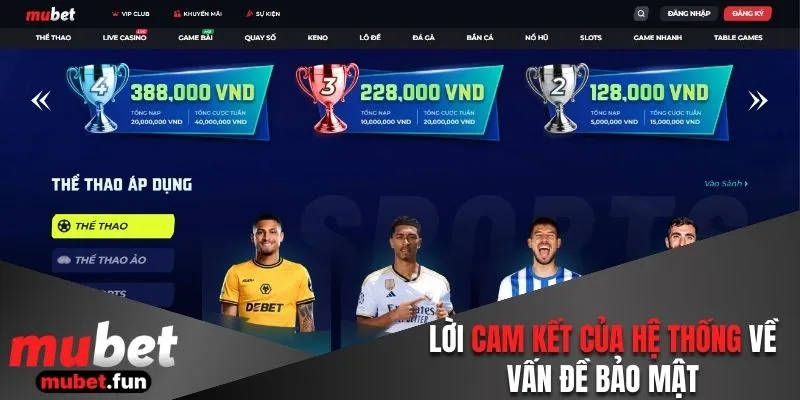 Lời cam kết của hệ thống về vấn đề bảo mật