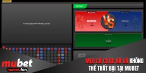 Mẹo cá cược đá gà